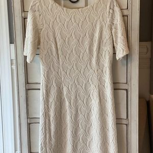 Ann Taylor Winter White Lace Dress, Sz 10